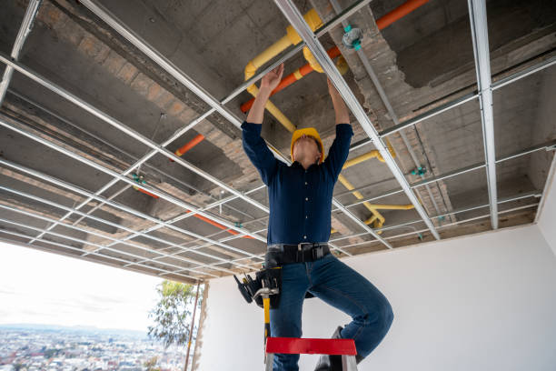 Best Residential Plumbing Services  in Sky Lake, FL